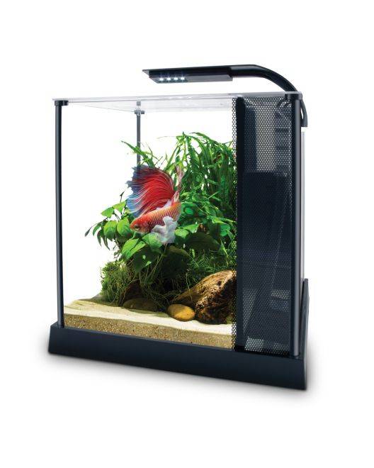 Fluval搏鱼溢价工具包(2.64加仑)