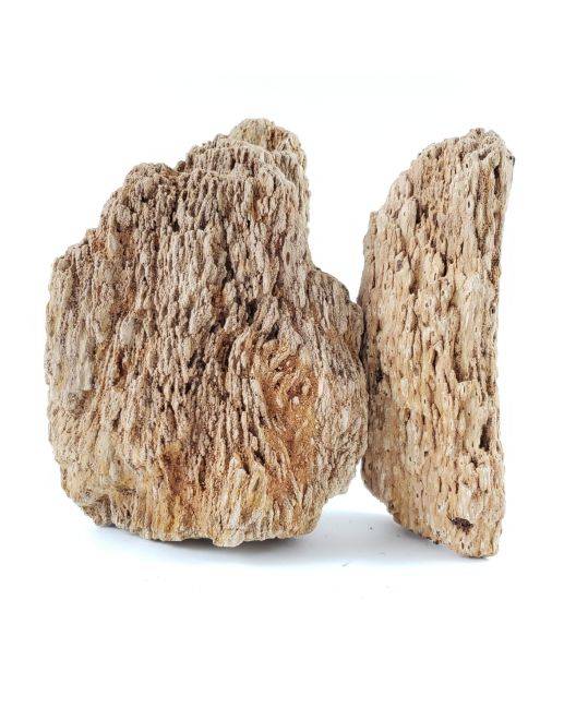 缅甸石化石(25加仑工具包)