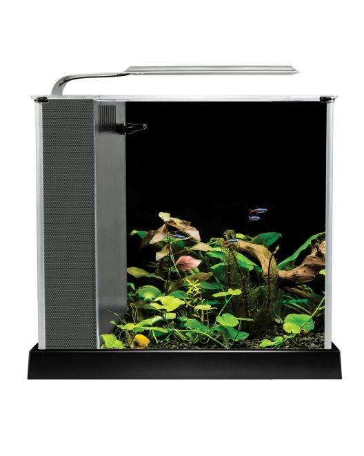 Fluval规范2.6加仑水族馆设备