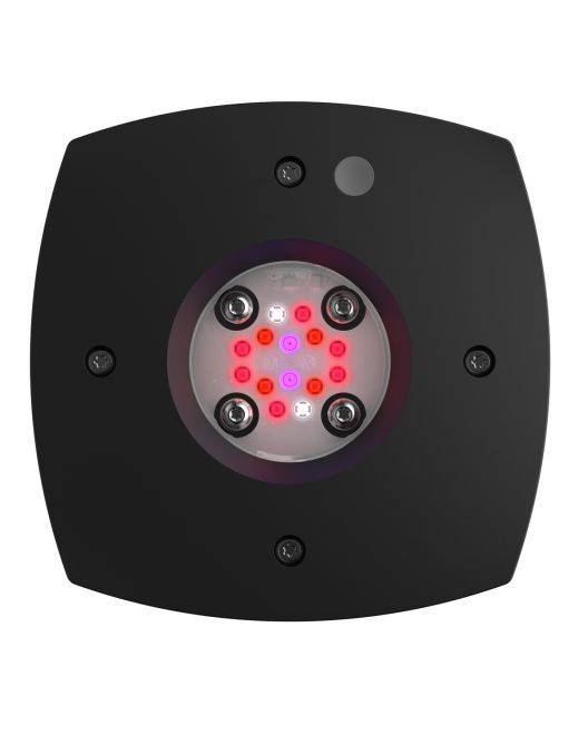 ' 16 LED Fuge灯——黑体